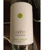 Farnese Vini Srl Abruzzo Pinot Grigio - Farnese